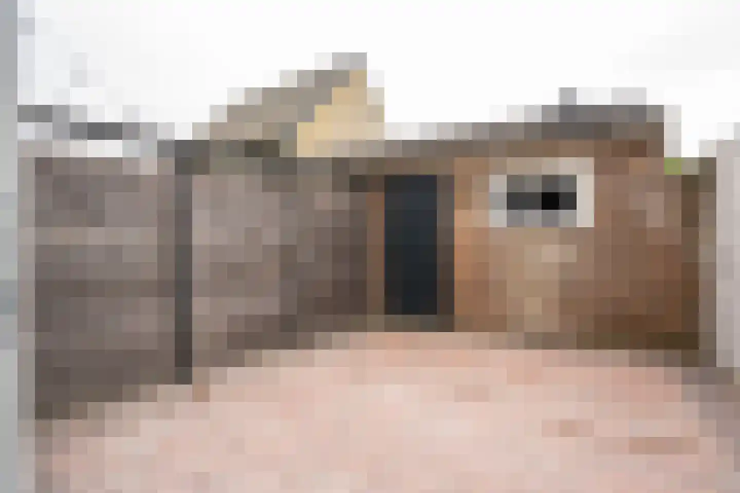 Minstraat 16 Asperen thumbnail 15