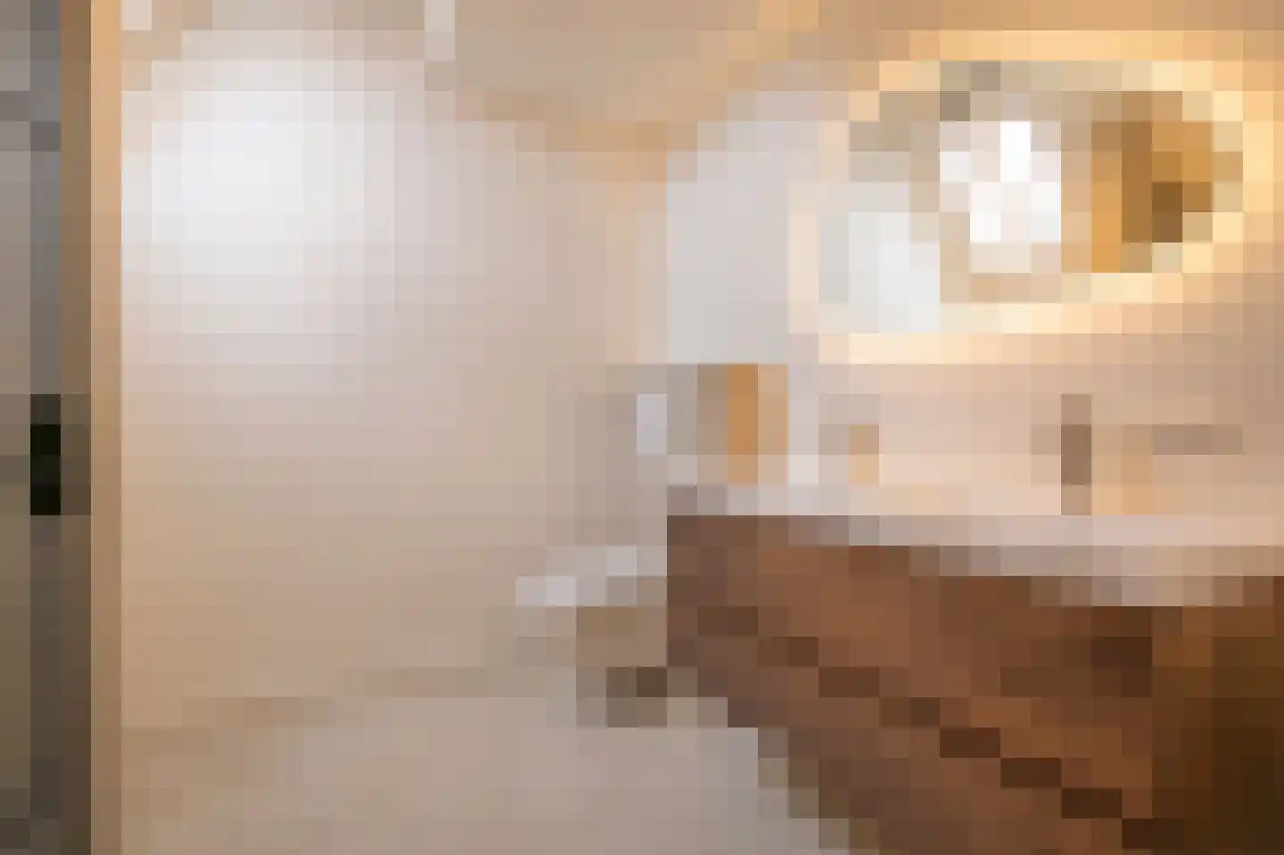 Minstraat 16 Asperen thumbnail 31