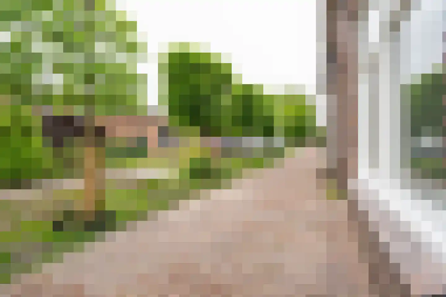 Minstraat 16 Asperen thumbnail 41