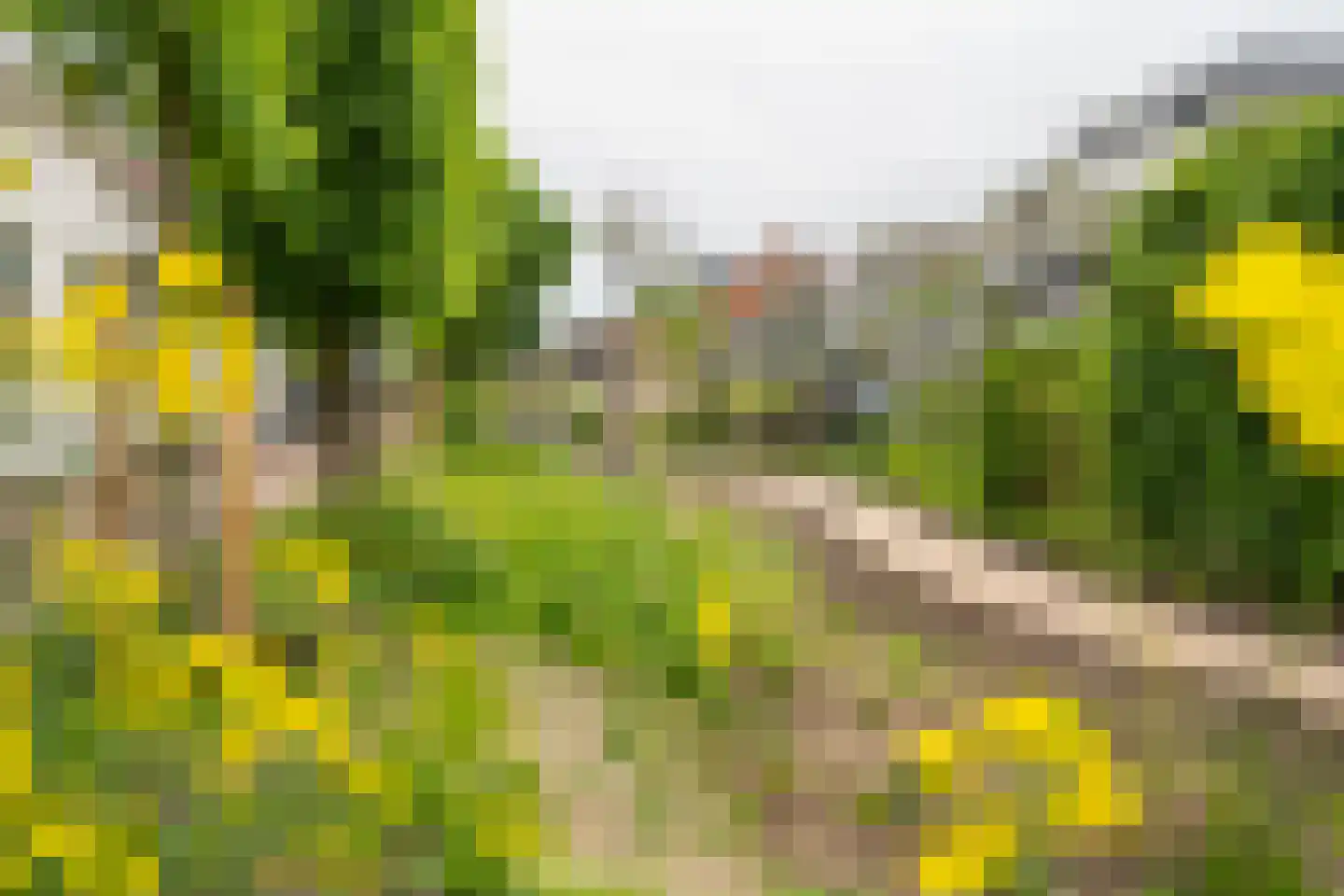 Minstraat 16 Asperen thumbnail 42