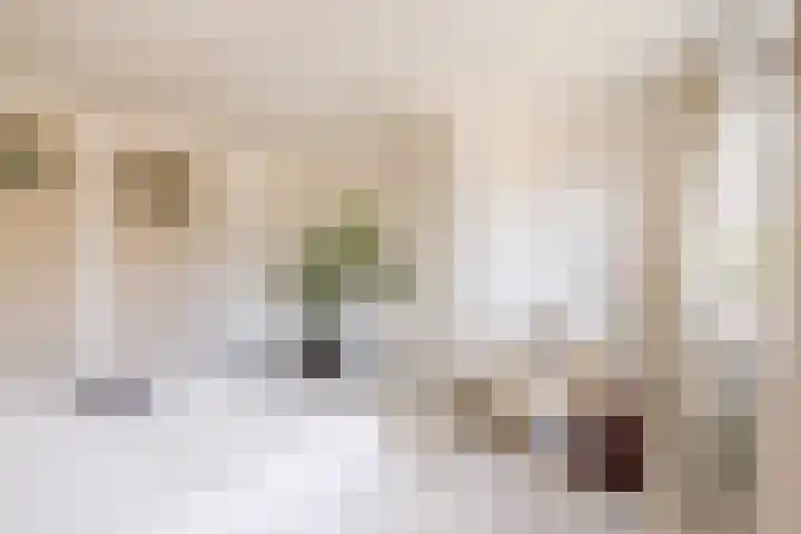Minstraat 19 BS Utrecht thumbnail 19