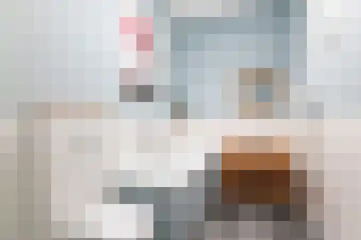 Minstraat 30 Utrecht thumbnail 37