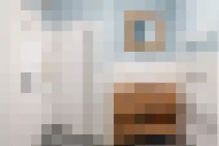 Minstraat 30 Utrecht thumbnail 38