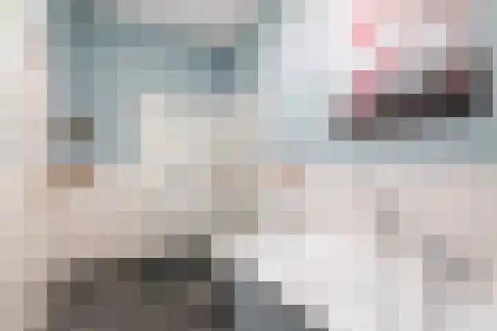 Minstraat 30 Utrecht thumbnail 39