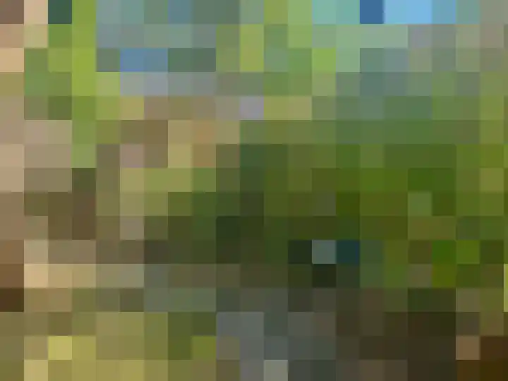Minstraat 33 Utrecht thumbnail 31