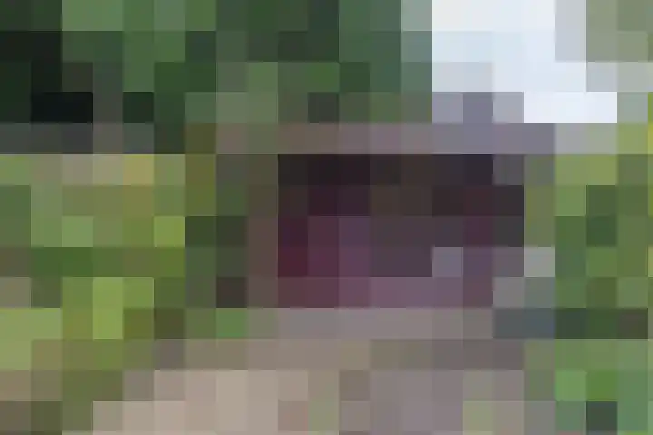 Minstraat 33 Utrecht thumbnail 33
