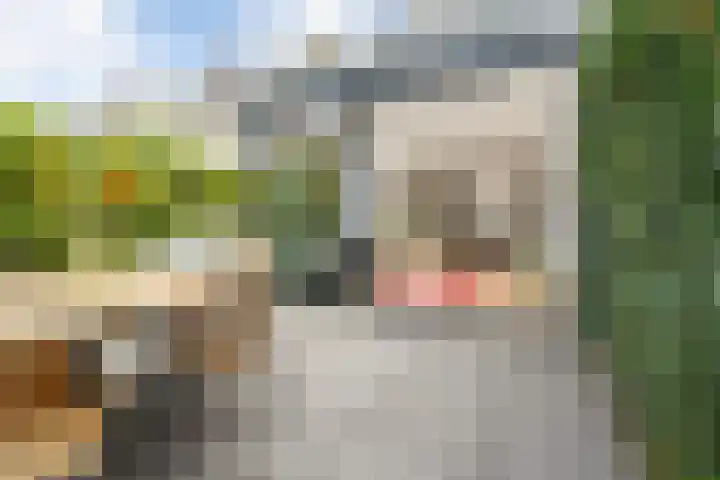 Minstraat 37 Utrecht thumbnail 24