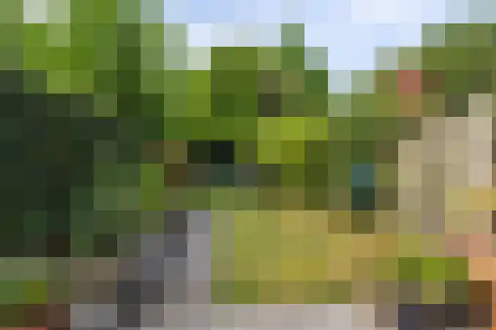 Minstraat 37 Utrecht thumbnail 26