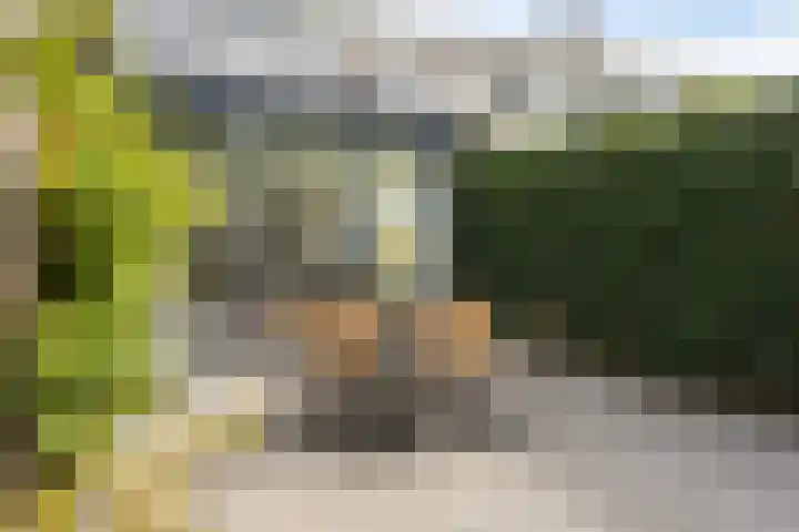 Minstraat 37 Utrecht thumbnail 32