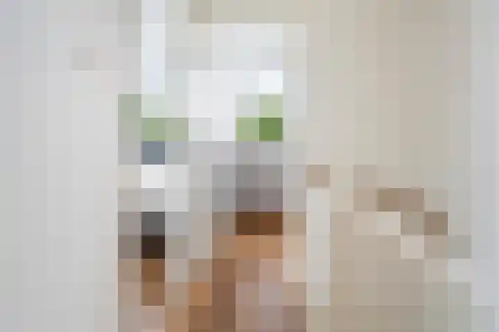 Minstraat 37 Utrecht thumbnail 33