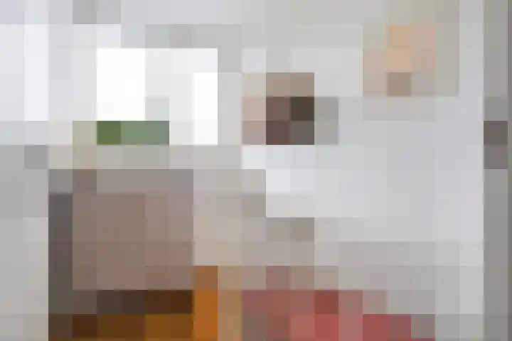 Minstraat 37 Utrecht thumbnail 35