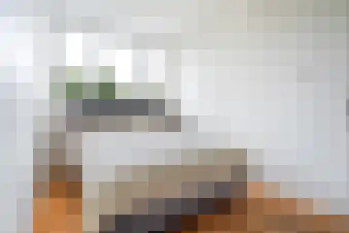 Minstraat 37 Utrecht thumbnail 37