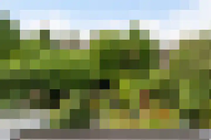 Minstraat 37 Utrecht thumbnail 45