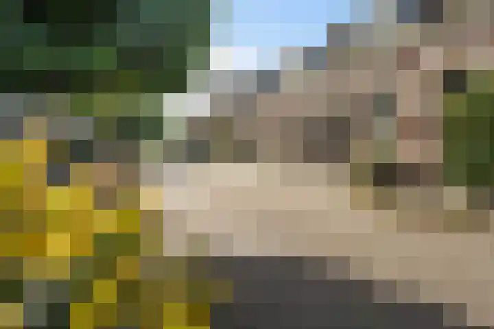 Minstraat 37 Utrecht thumbnail 47