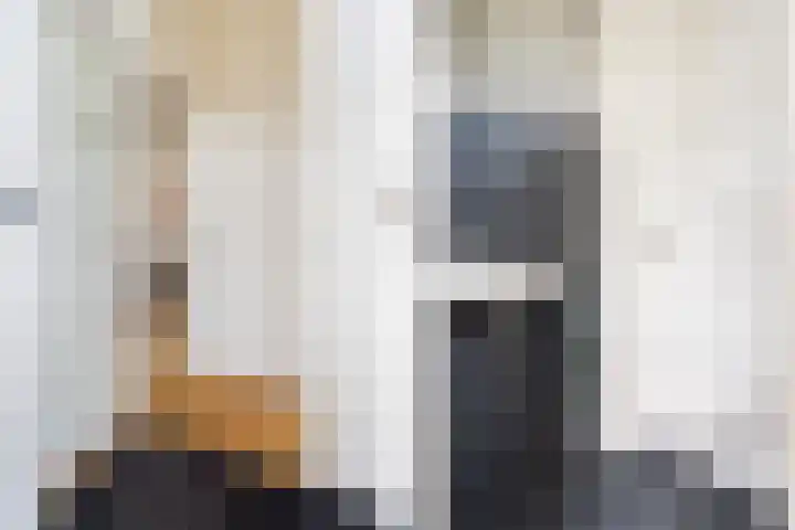 Minstraat 37 Utrecht thumbnail 8