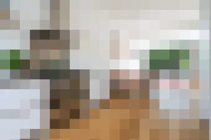Minstraat 37 Utrecht thumbnail 9
