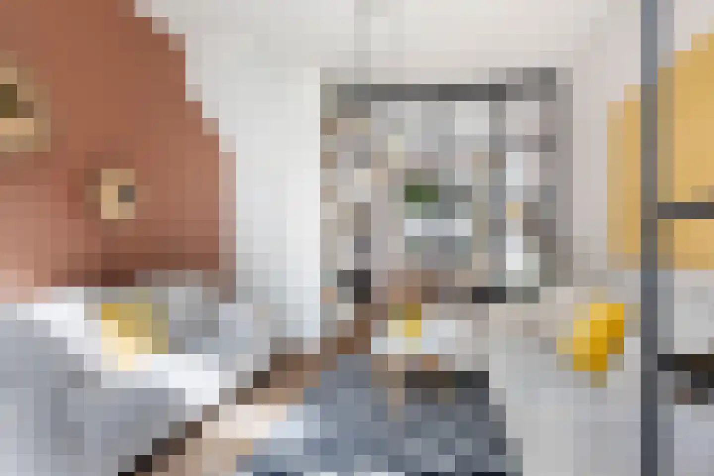 Minstraat 49 Utrecht thumbnail 11