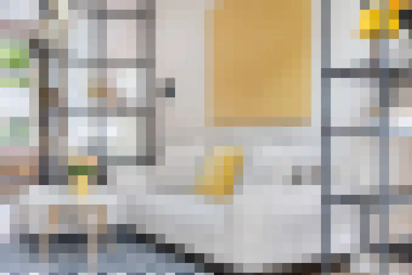 Minstraat 49 Utrecht thumbnail 21