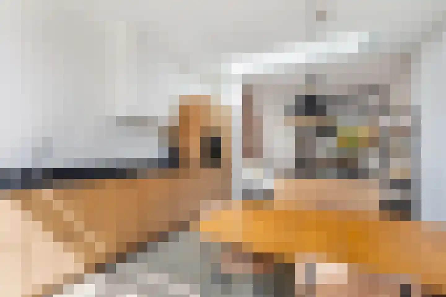 Minstraat 49 Utrecht thumbnail 27