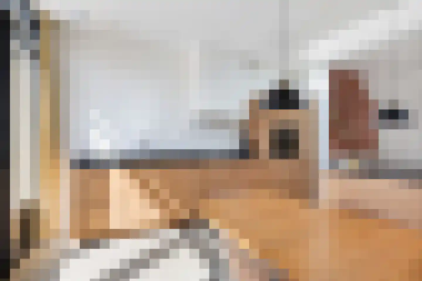 Minstraat 49 Utrecht thumbnail 34