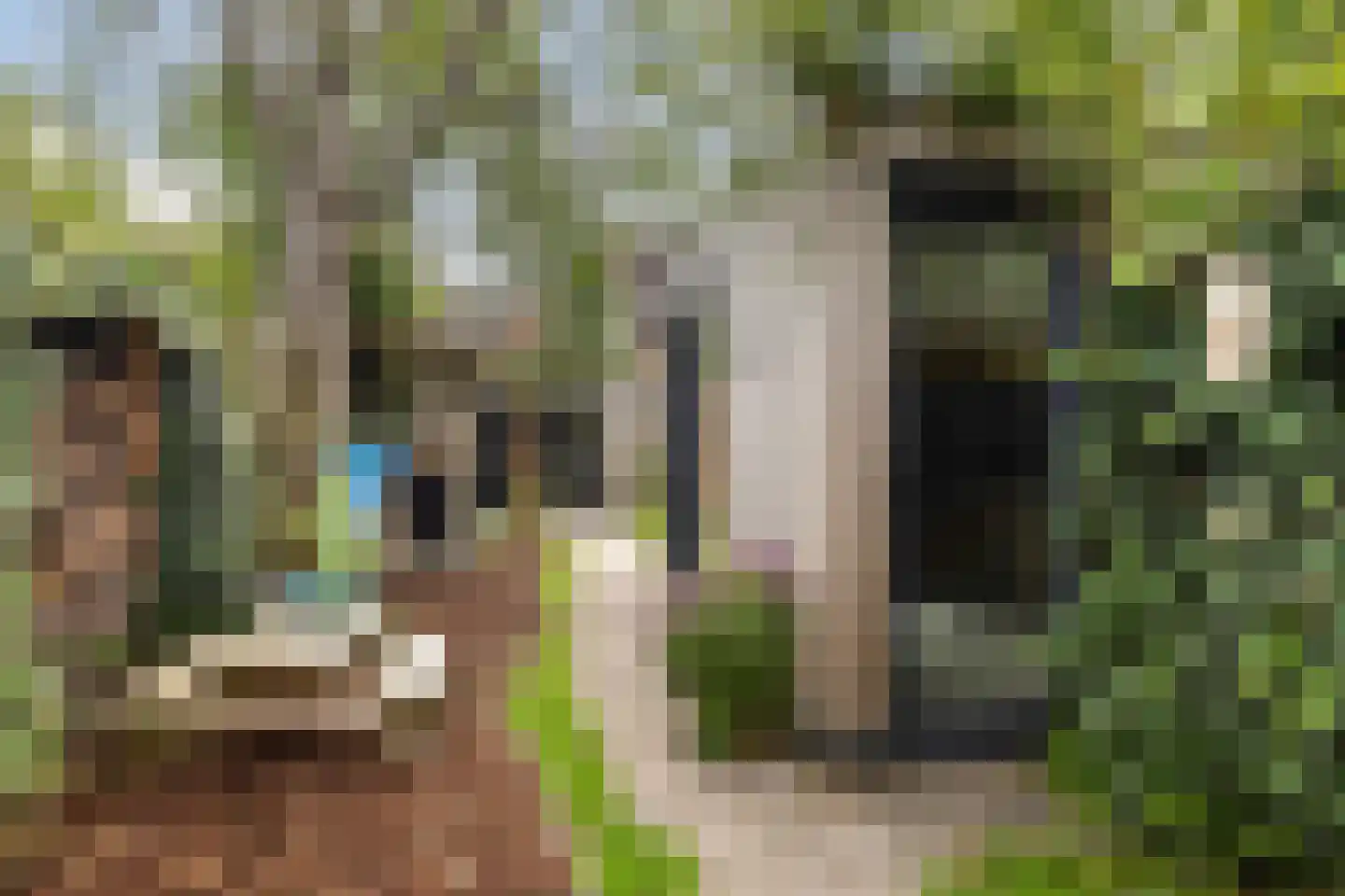 Minstraat 49 Utrecht thumbnail 41