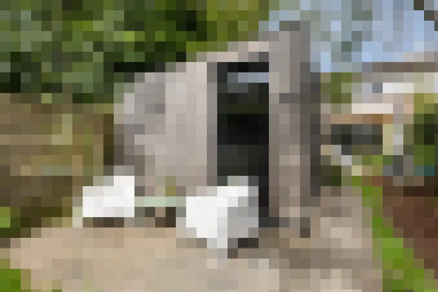 Minstraat 49 Utrecht thumbnail 46