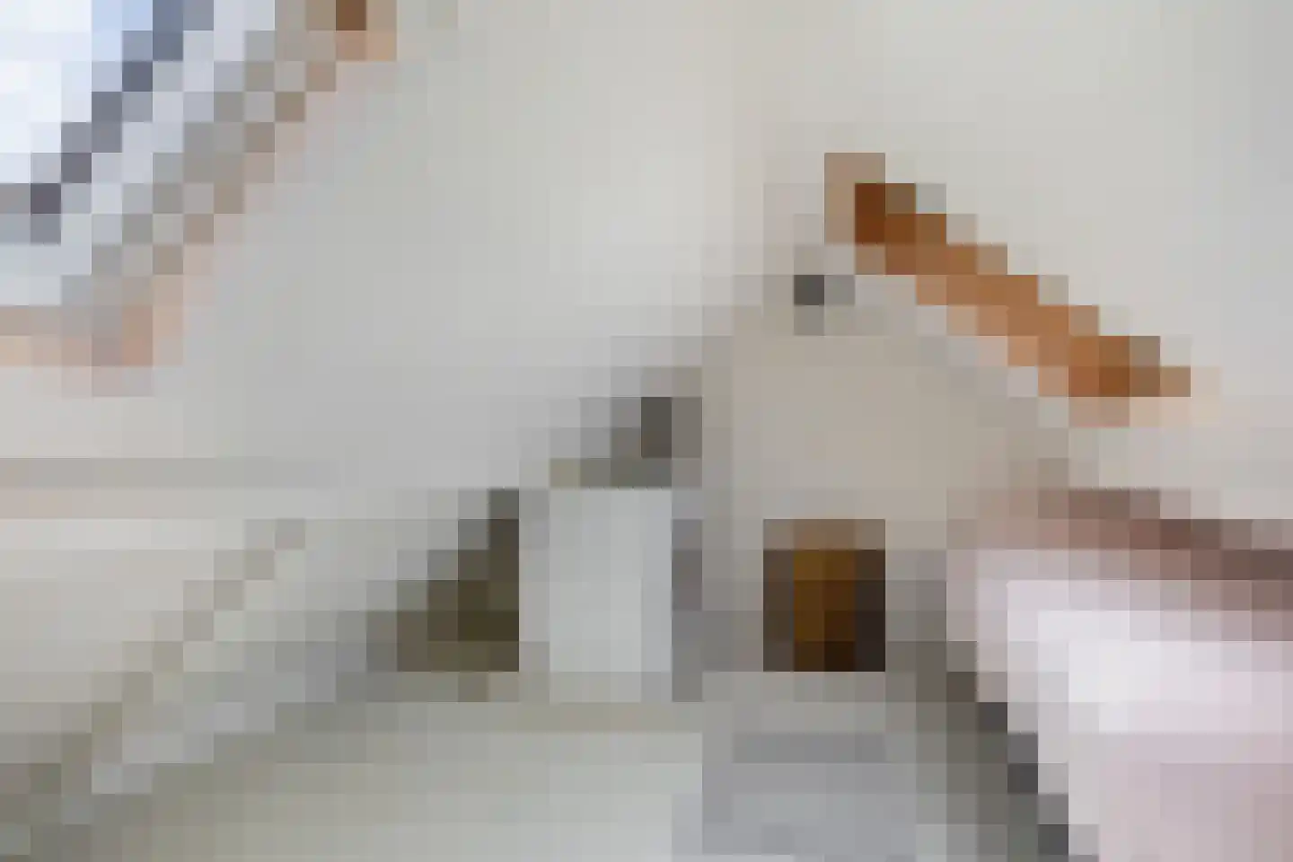 Minstraat 49 Utrecht thumbnail 60