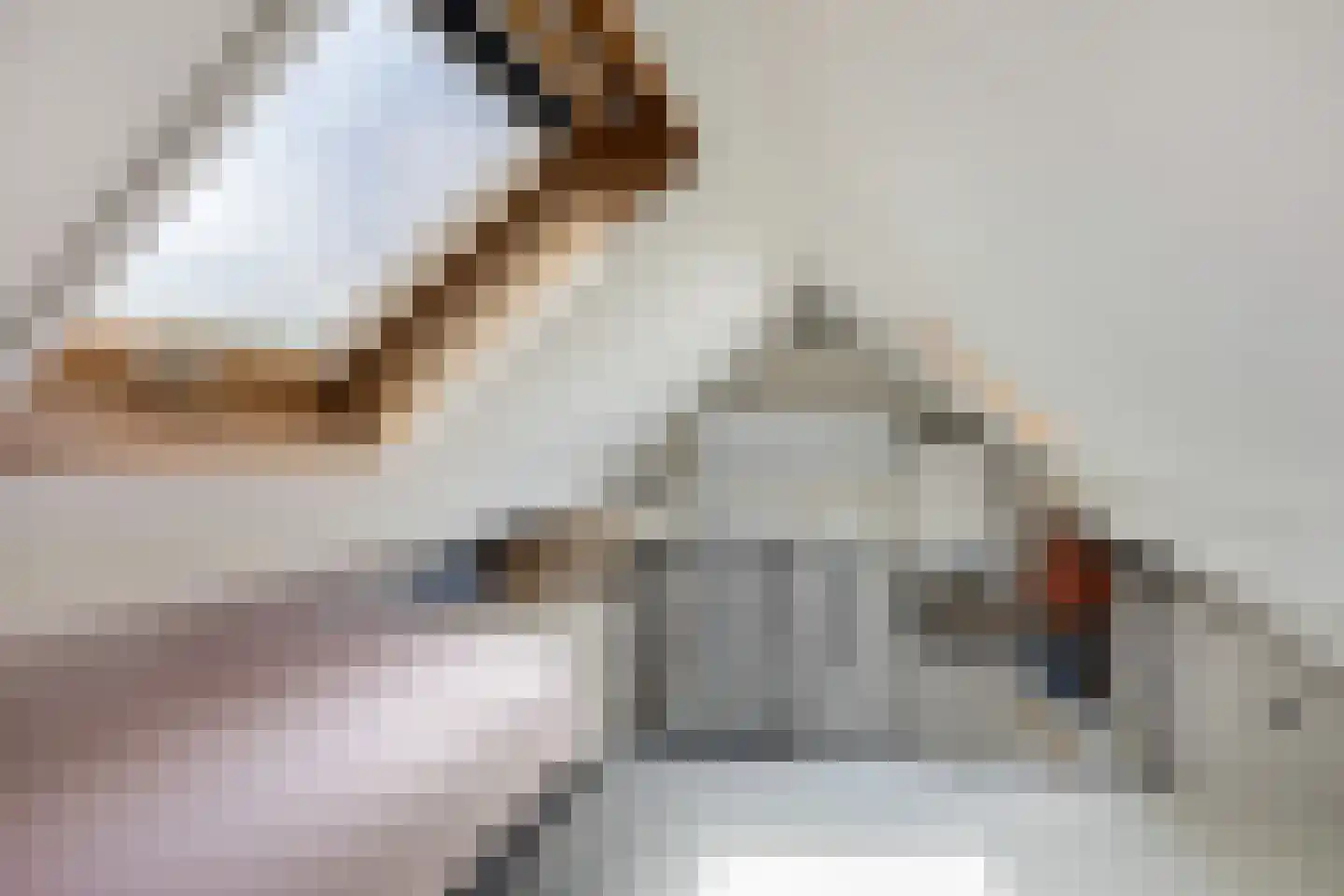 Minstraat 49 Utrecht thumbnail 61