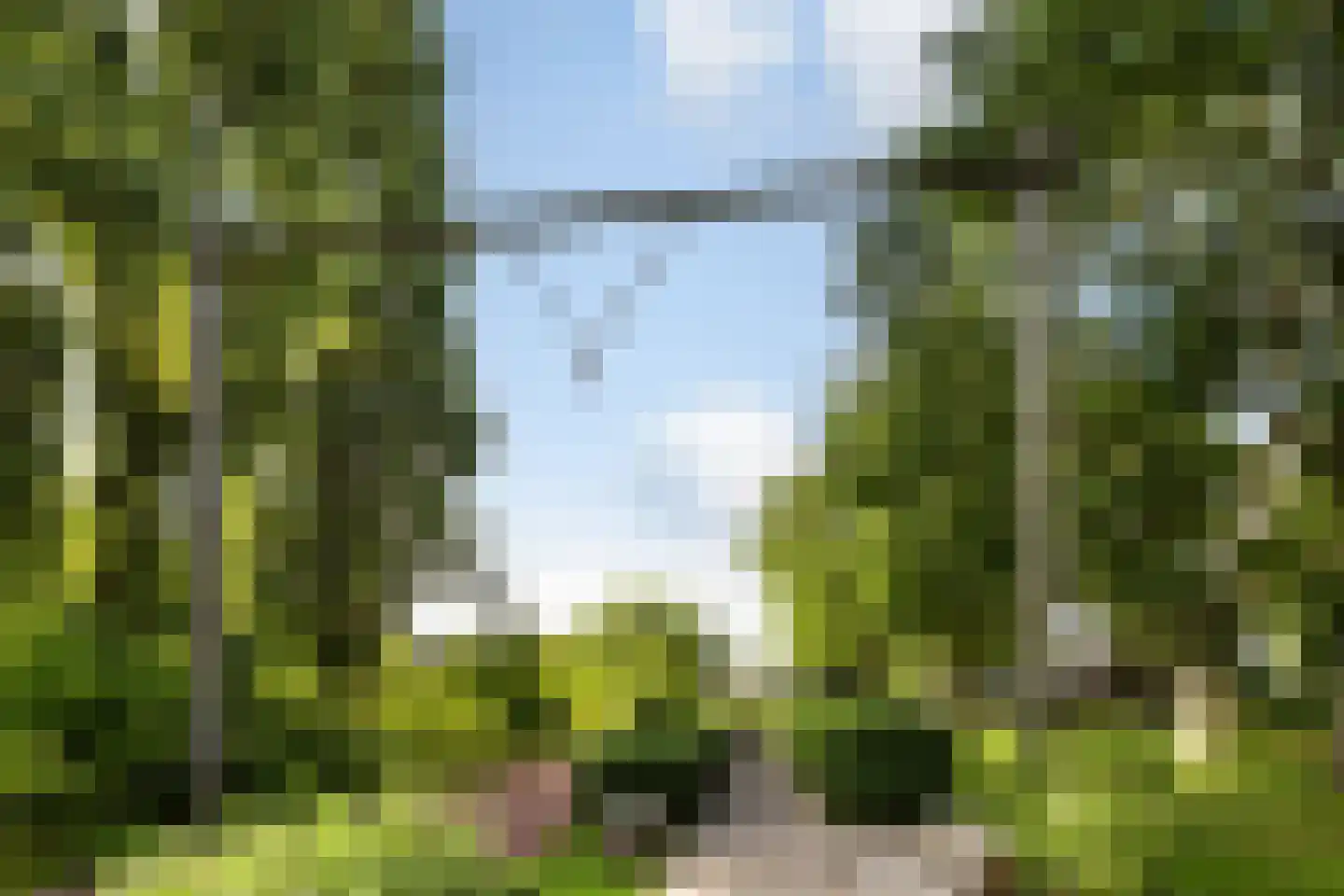 Minstraat 49 Utrecht thumbnail 65
