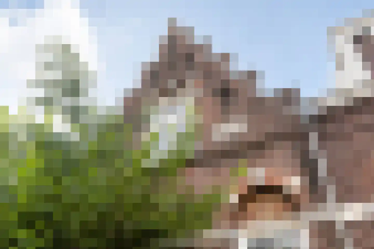 Minstraat 49 Utrecht thumbnail 66