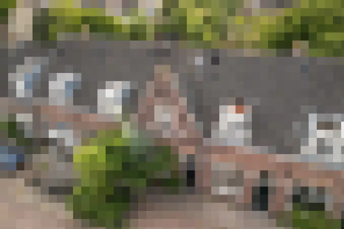 Minstraat 49 Utrecht thumbnail 67