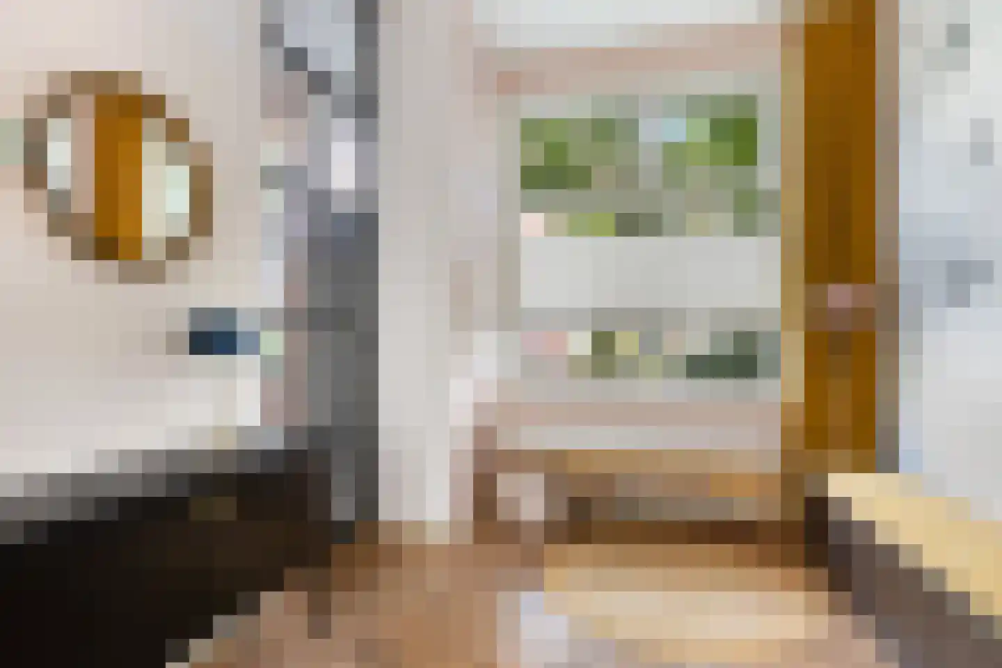 Minstraat 49 Utrecht thumbnail 7
