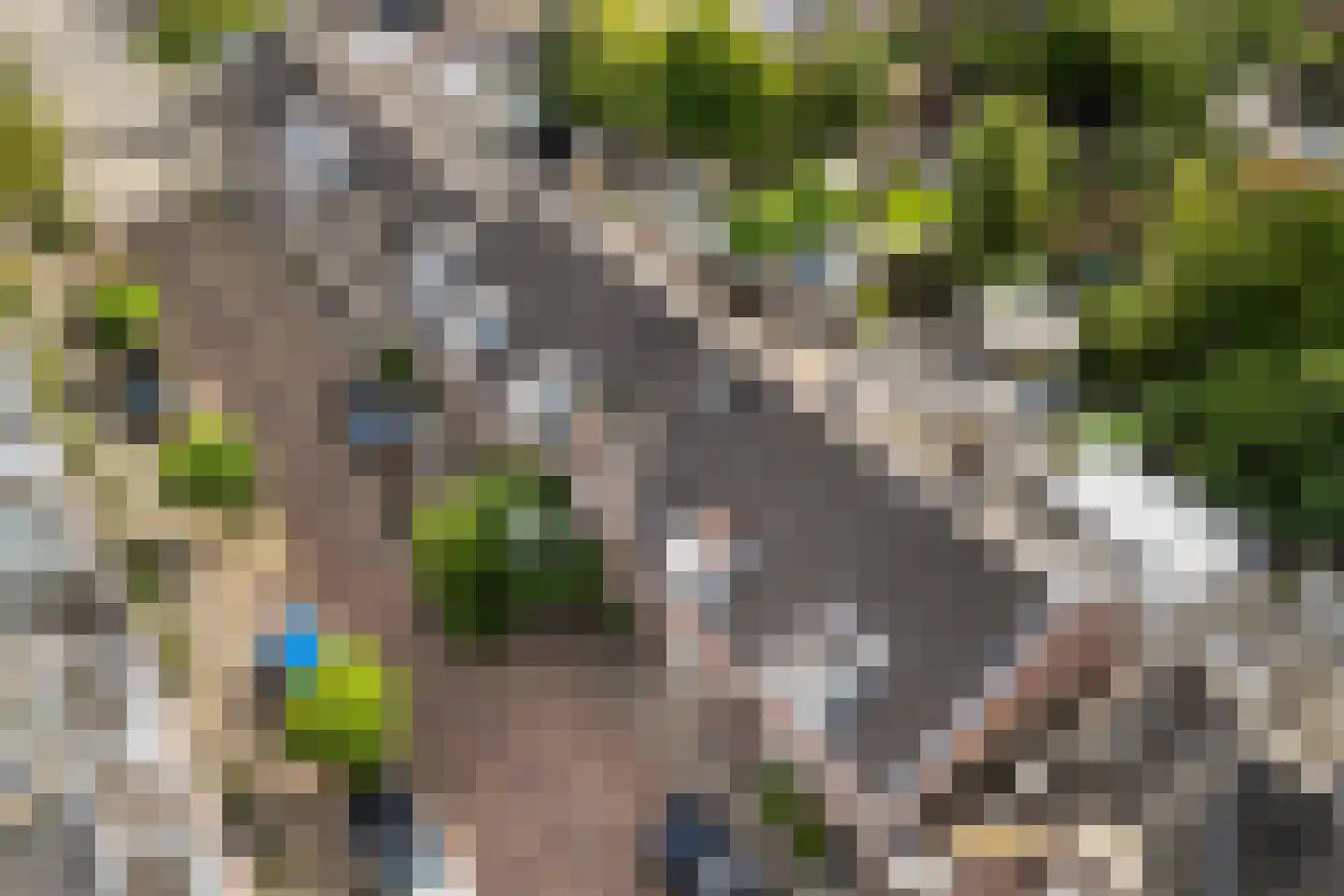 Minstraat 49 Utrecht thumbnail 72
