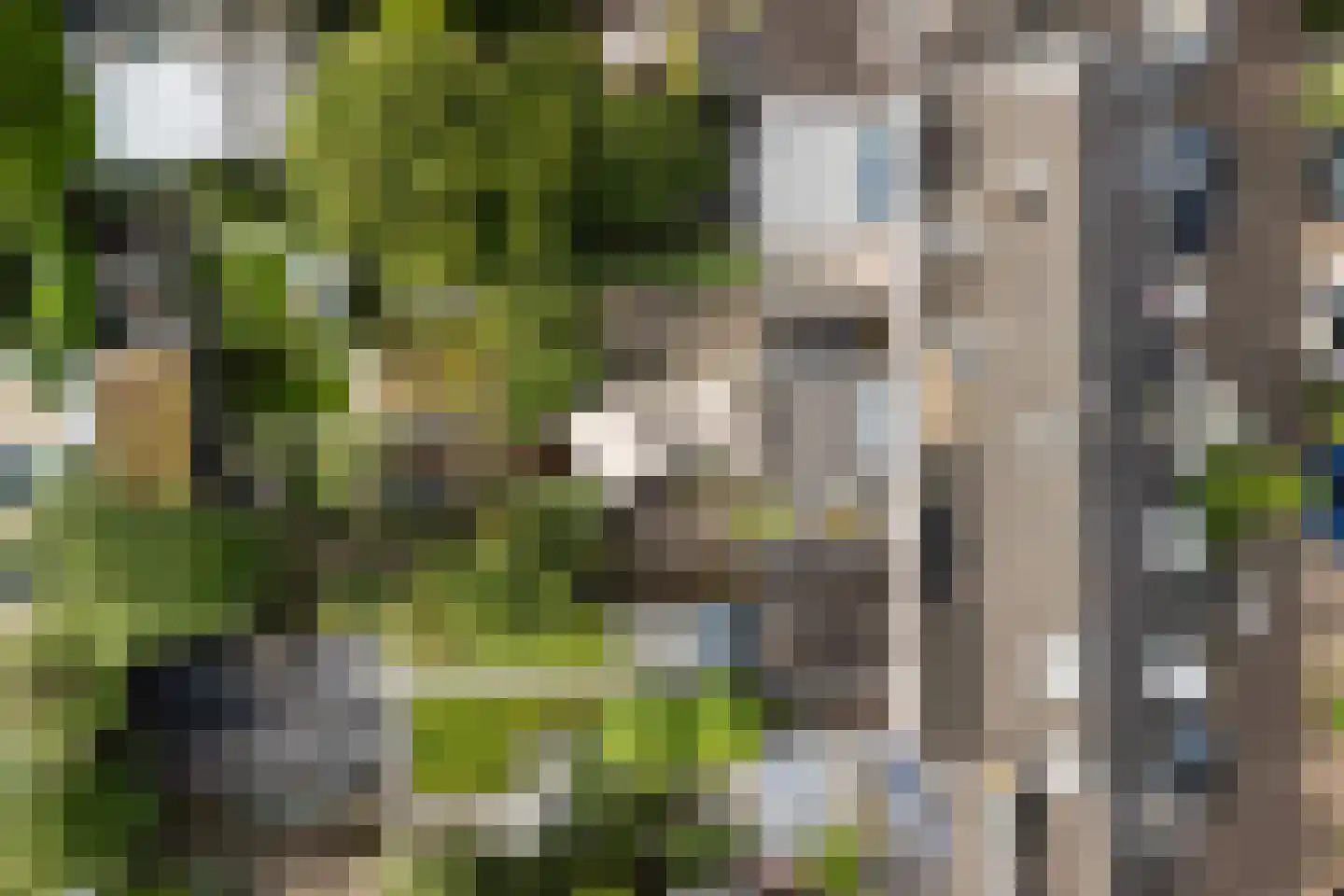 Minstraat 49 Utrecht thumbnail 78