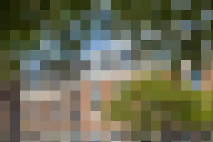 Minstraat 54 BS Utrecht thumbnail 5