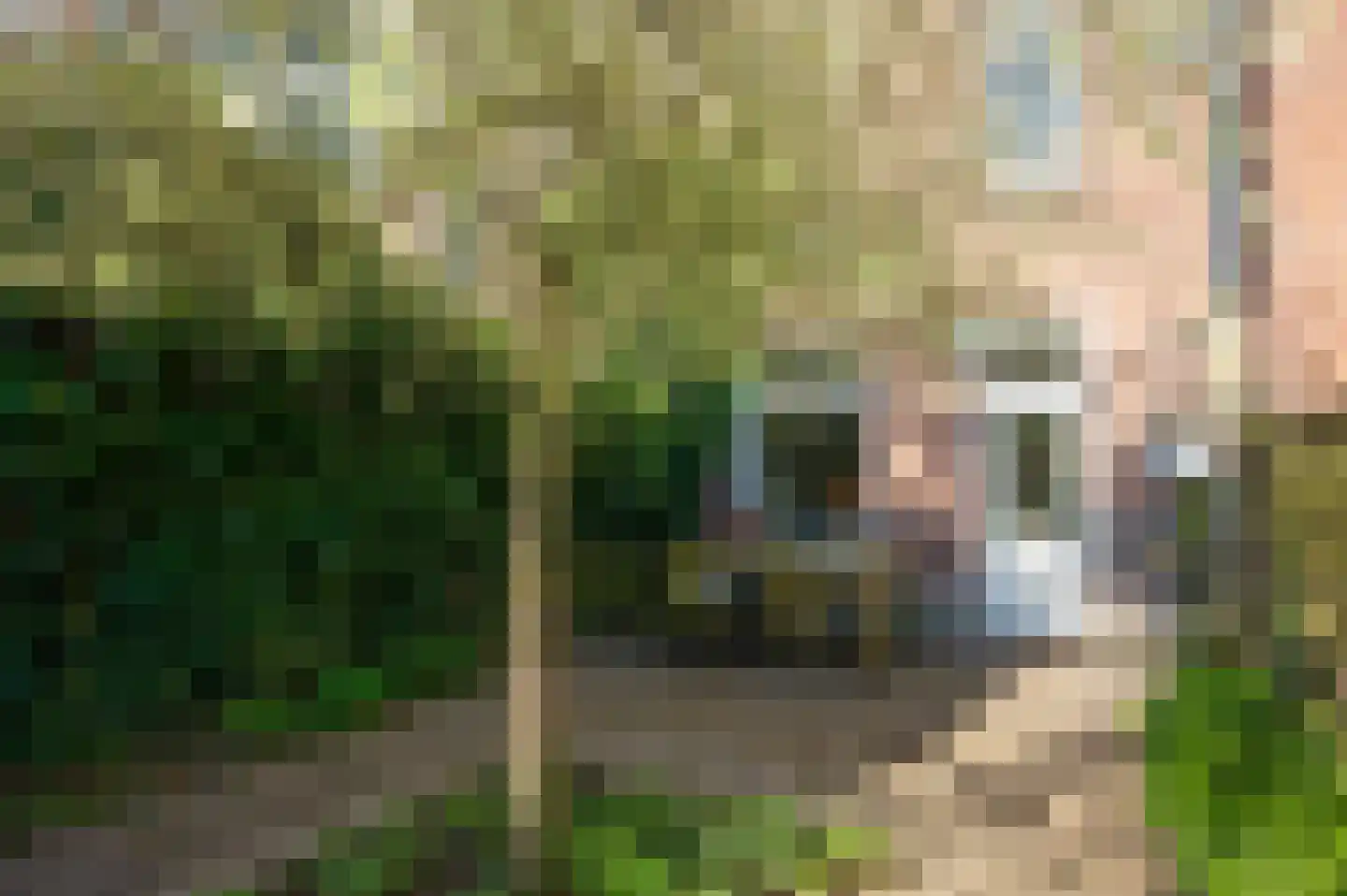 Minstraat 56 Utrecht thumbnail 19