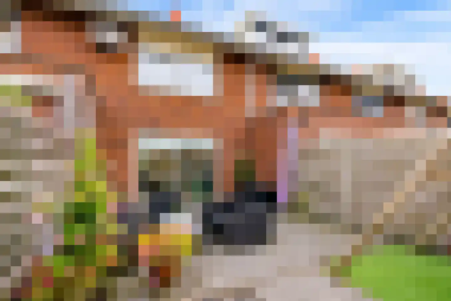 Minstreel 19 Zeewolde thumbnail 36