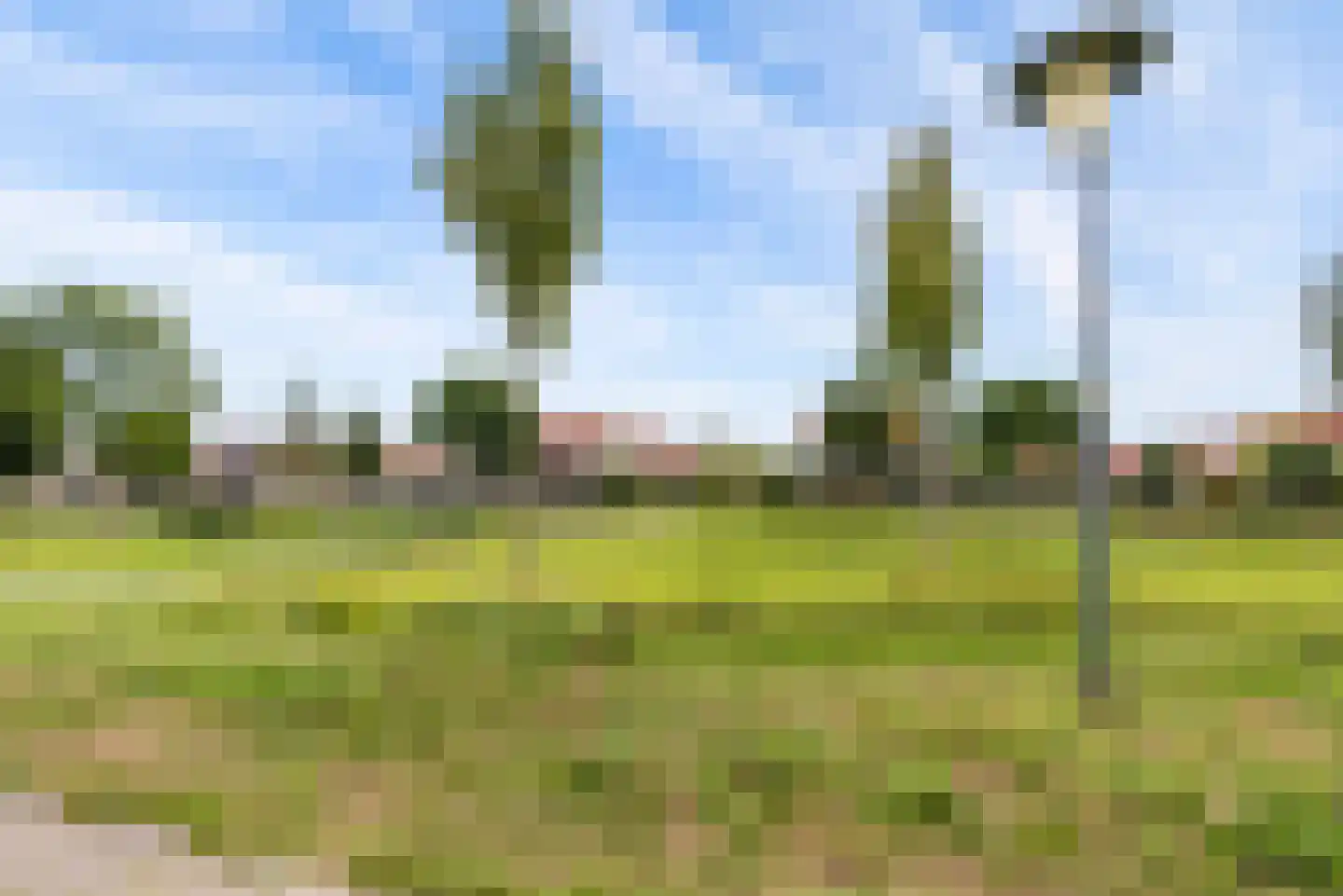 Minstreel 19 Zeewolde thumbnail 51