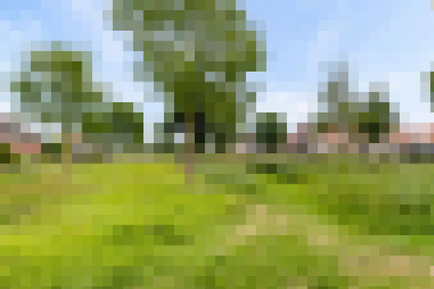 Minstreel 19 Zeewolde thumbnail 53