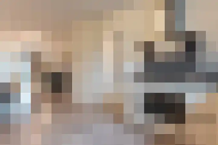 Minstreel 29 Zeewolde thumbnail 12