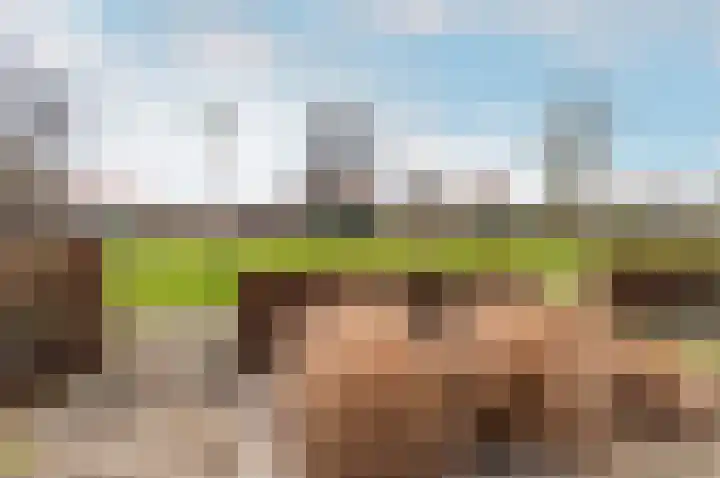 Minstreel 29 Zeewolde thumbnail 37