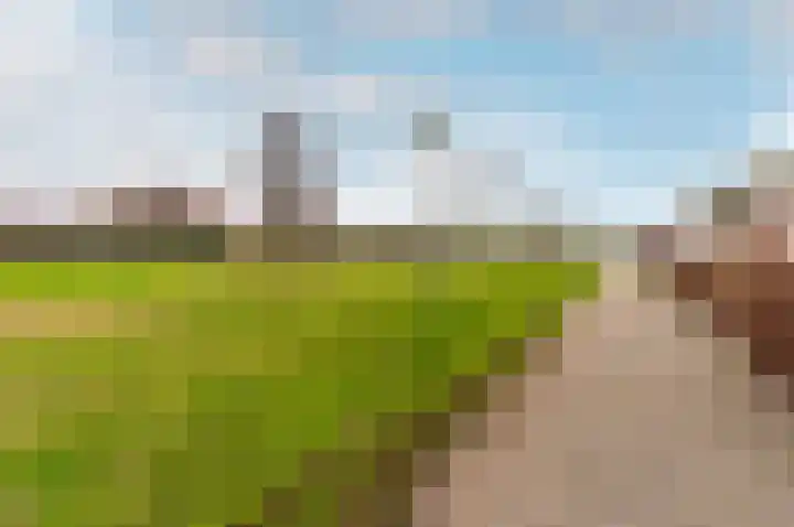 Minstreel 29 Zeewolde thumbnail 39