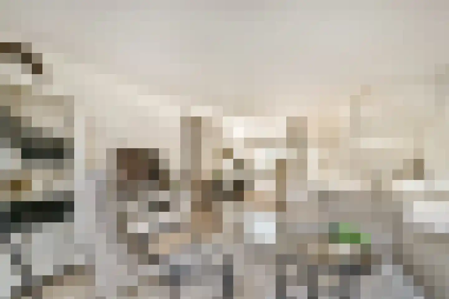 Minstreel 44 Rhoon thumbnail 10
