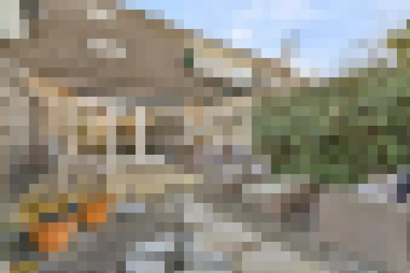 Minstreel 44 Rhoon thumbnail 22