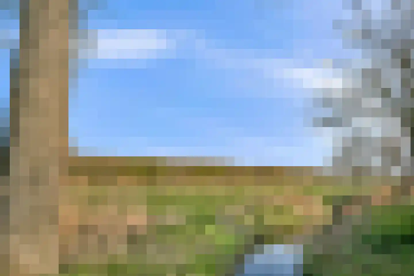 Minstreel 44 Rhoon thumbnail 28
