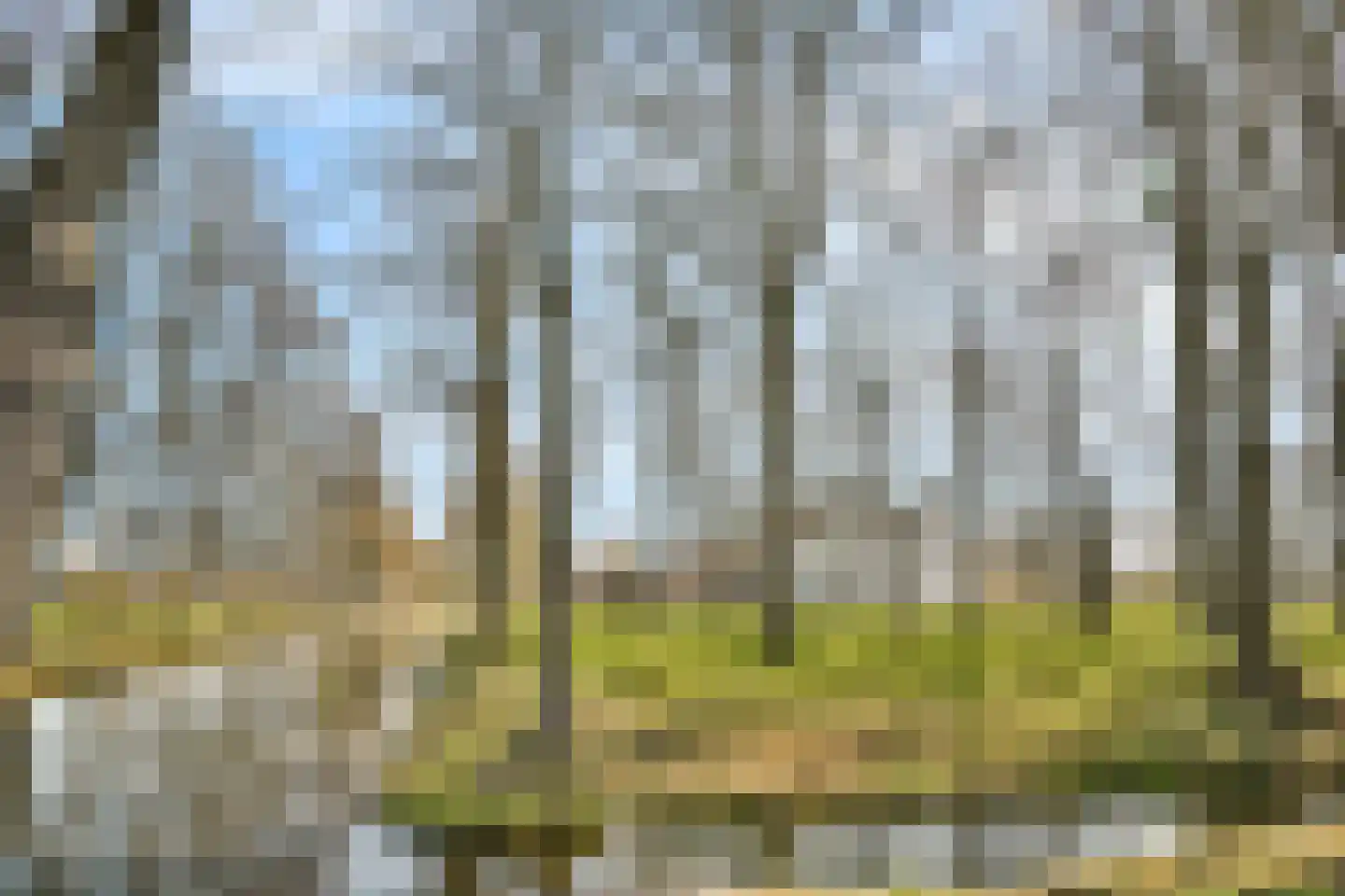 Minstreel 44 Rhoon thumbnail 29