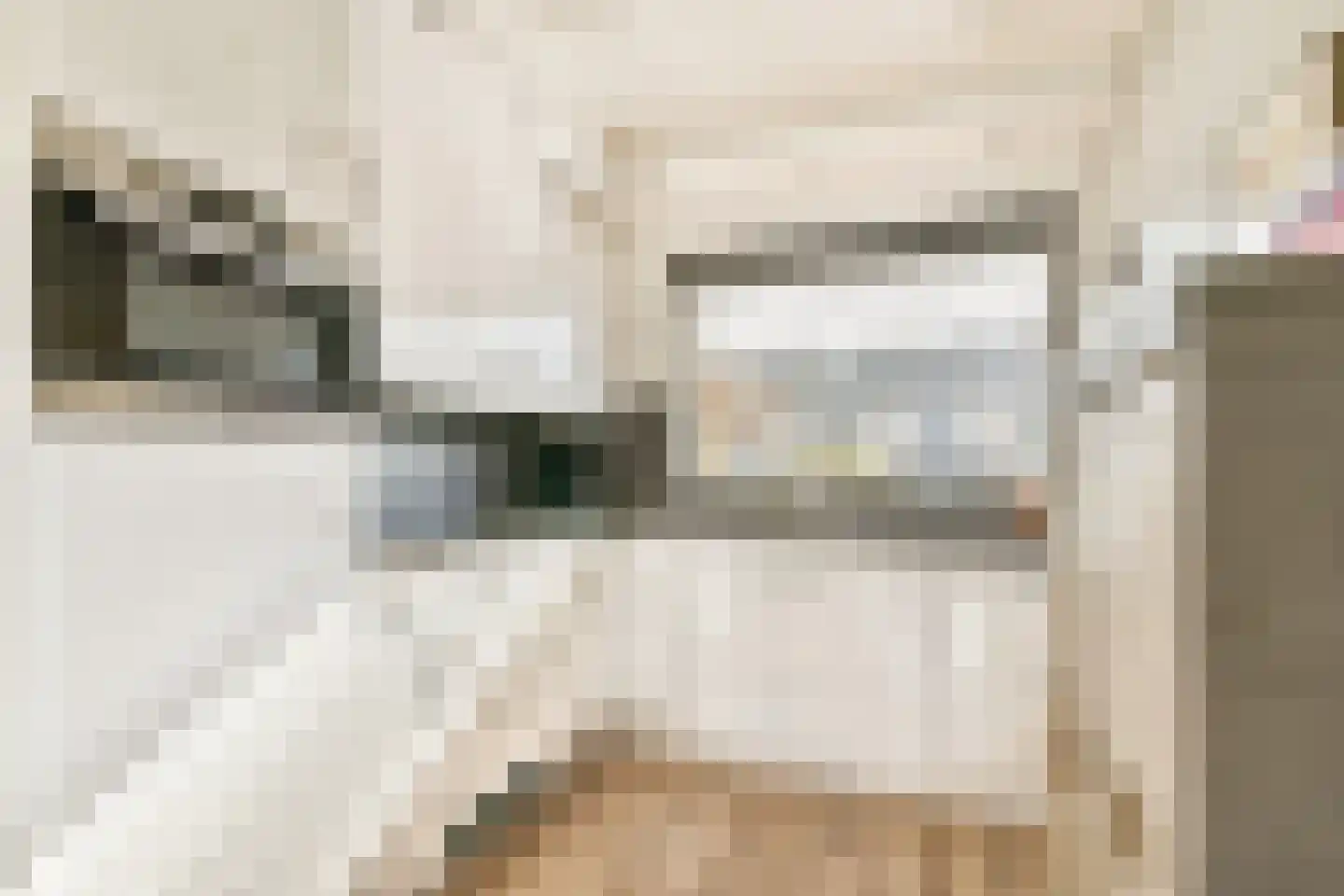 Minstreel 44 Rhoon thumbnail 5