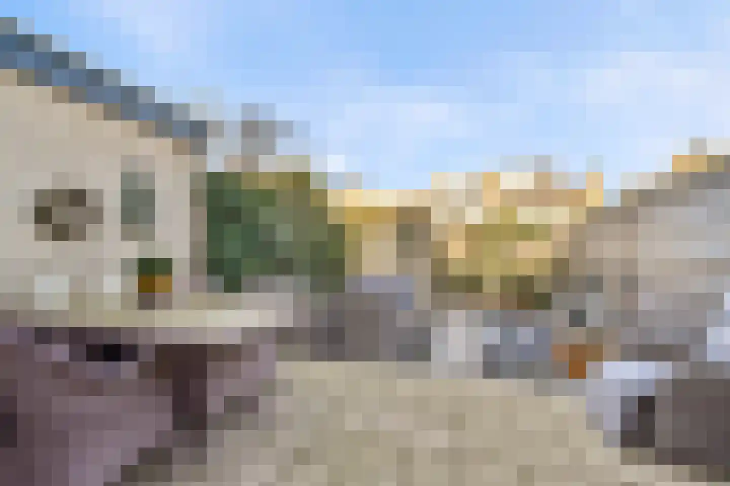 Minstreel 44 Rhoon thumbnail 7