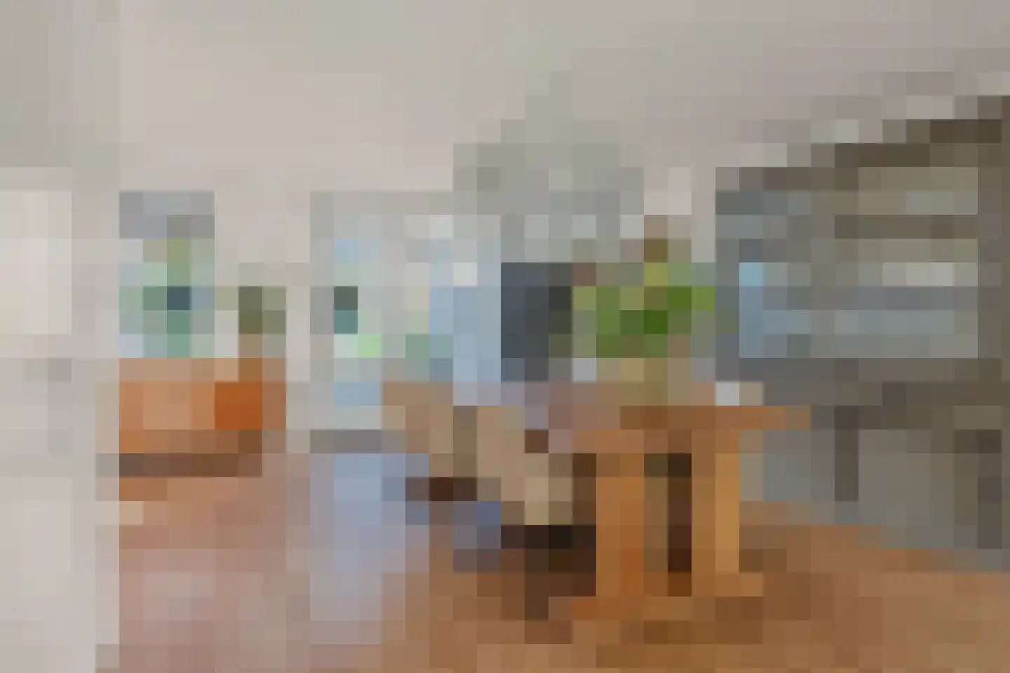 Minstreelhof 63 's-Gravenzande thumbnail 5