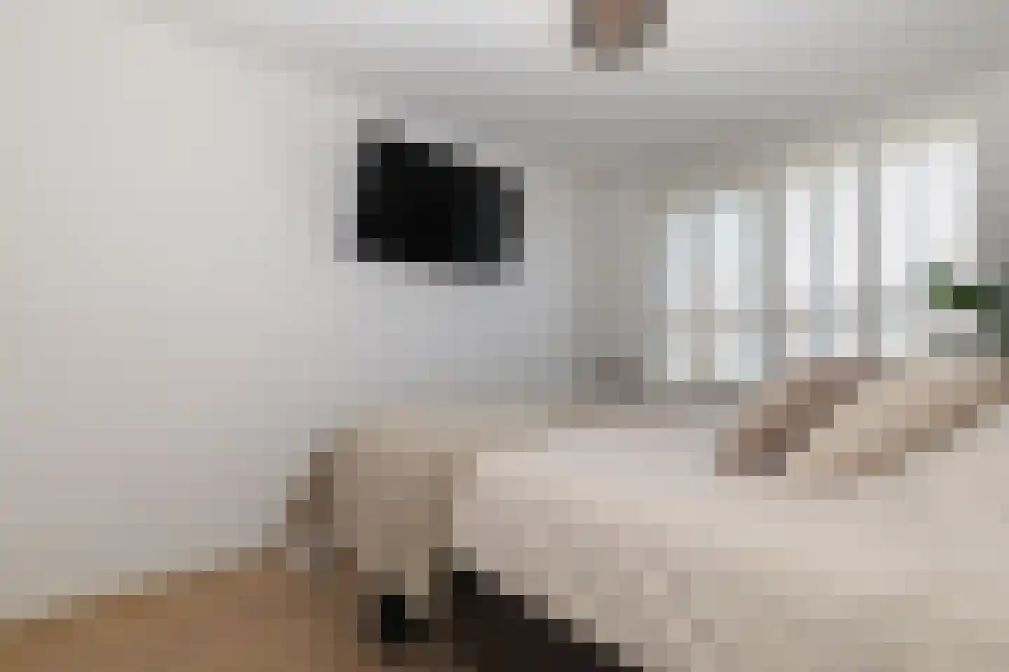 Minstreellaan 10 Oostvoorne thumbnail 36